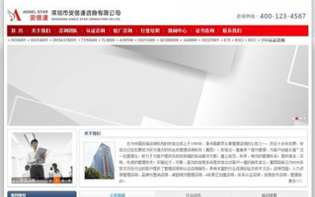 RedService咨询管理服务企业网站定制