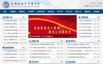 iBlueCollegeText蓝色学院网站定制