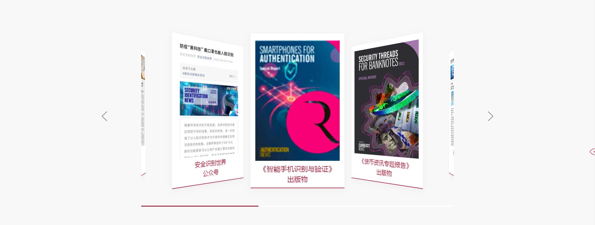 iRedIdentity式协会网站定制_005